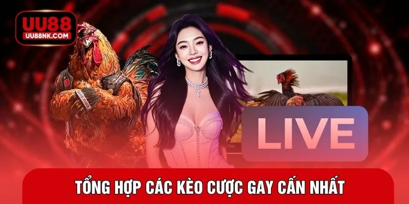 Tổng hợp các kèo cược gay cấn nhất